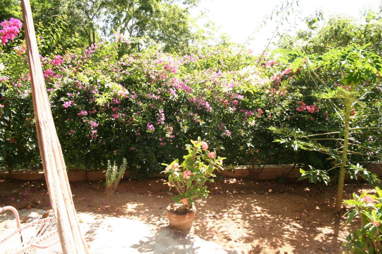 Hotel Sal De Mar San Agustinillo Dış mekan fotoğraf